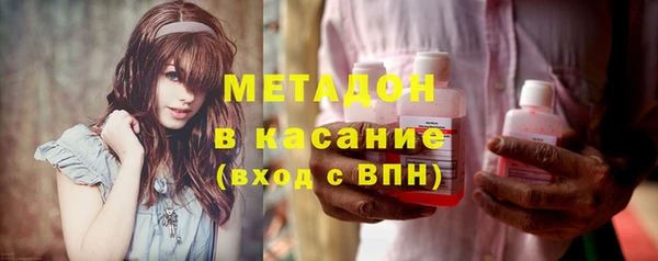 индика Нижний Тагил