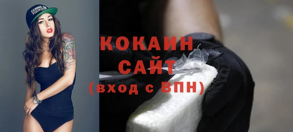 дживик Сосновый Бор