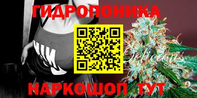 сатива Берёзовский