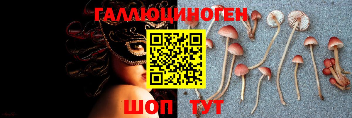 Вичуга  Псилоцибиновые грибы GOLDEN TEACHER  Вход с VPN  Галлюциногенные грибы ЛСД 